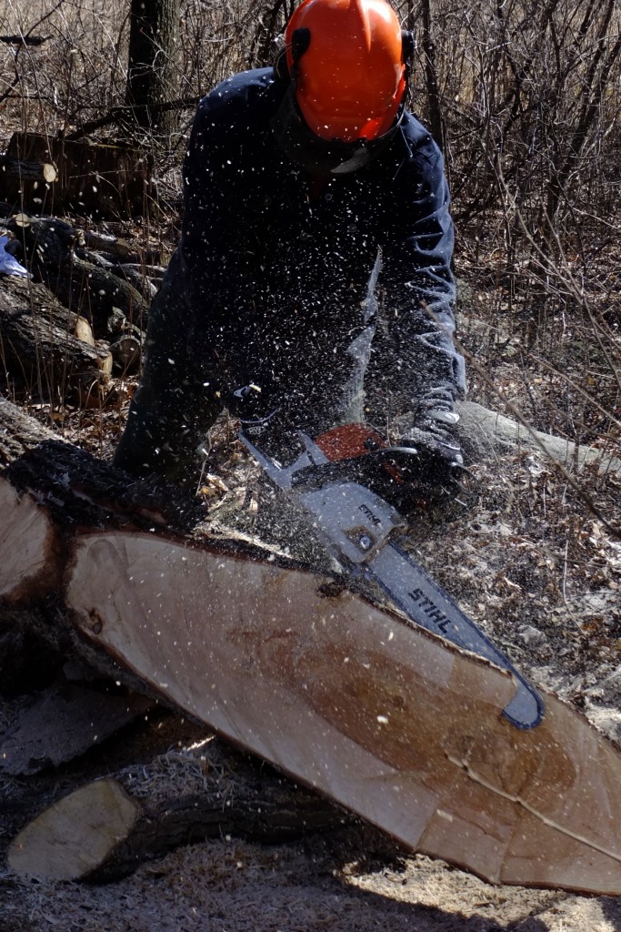 Aaron Laux working with chainsaw