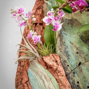 Root System Living Wall detail